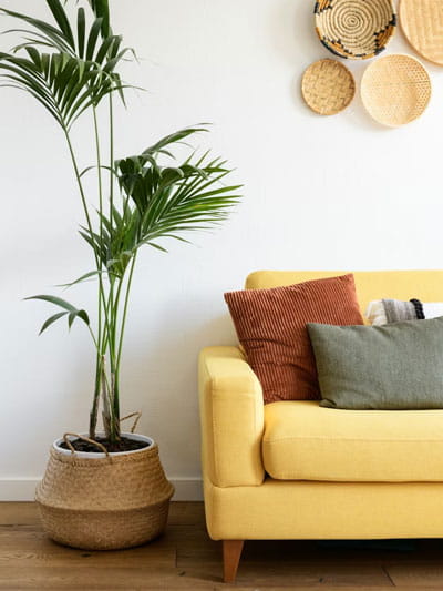 omgeving van psycholoog praktijk Den Haag