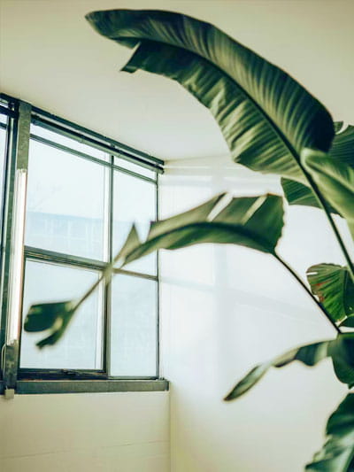 sfeerafbeelding van Therapie Den Haag